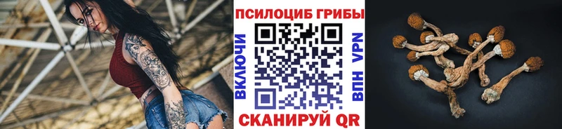 Купить  Карачаевск  Псилоцибиновые грибы GOLDEN TEACHER 