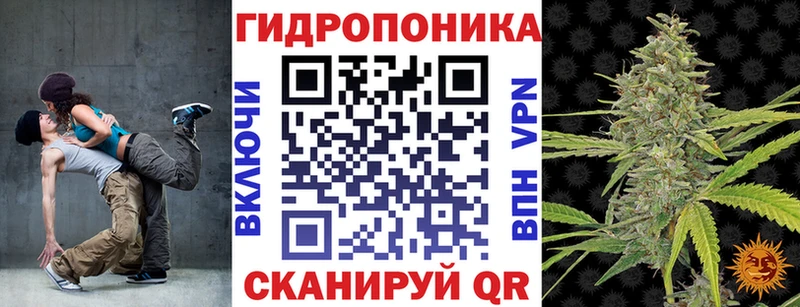 Канабис конопля  Купить где  Карачаевск 
